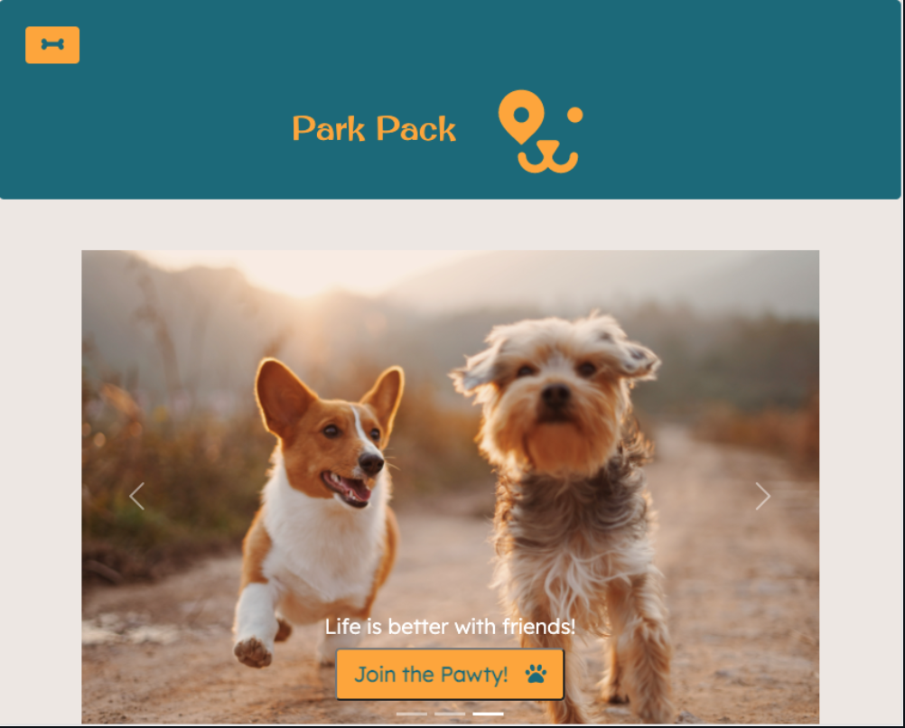 parkpack slide